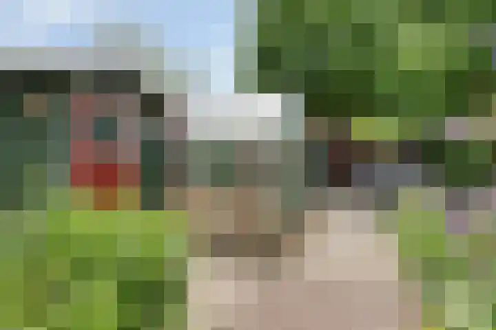Dagpauwoog 4 A Emmen thumbnail 40