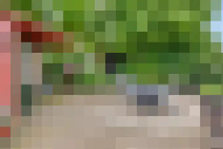 Dagpauwoog 4 A Emmen thumbnail 42