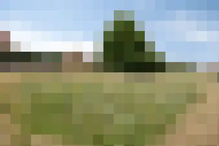 Dagpauwoog 4 A Emmen thumbnail 43