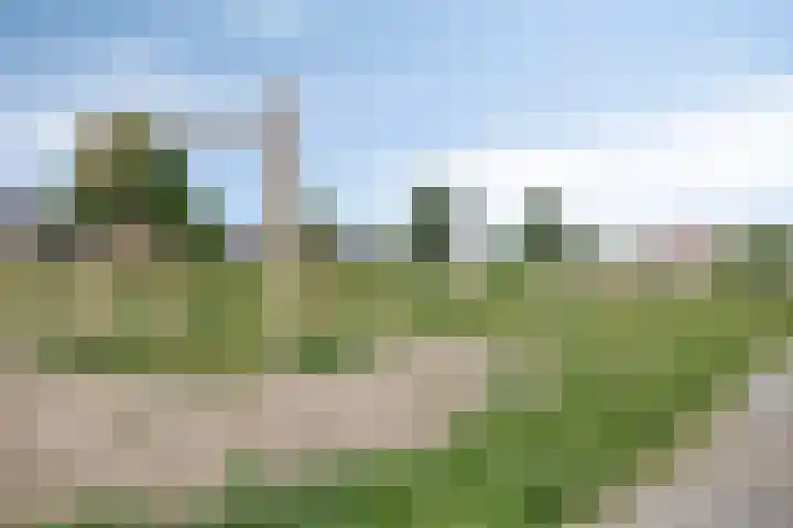 Dagpauwoog 4 A Emmen thumbnail 44