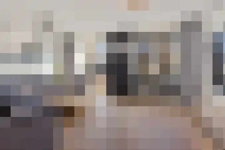 Dagpauwoog 4 Sneek thumbnail 10