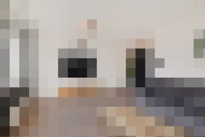 Dagpauwoog 4 Sneek thumbnail 13
