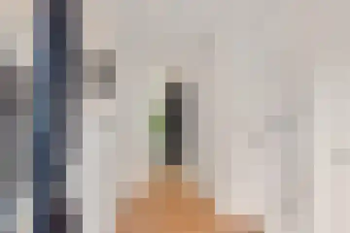 Dagpauwoog 4 Sneek thumbnail 15