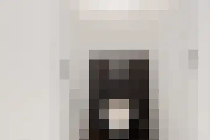 Dagpauwoog 4 Sneek thumbnail 16