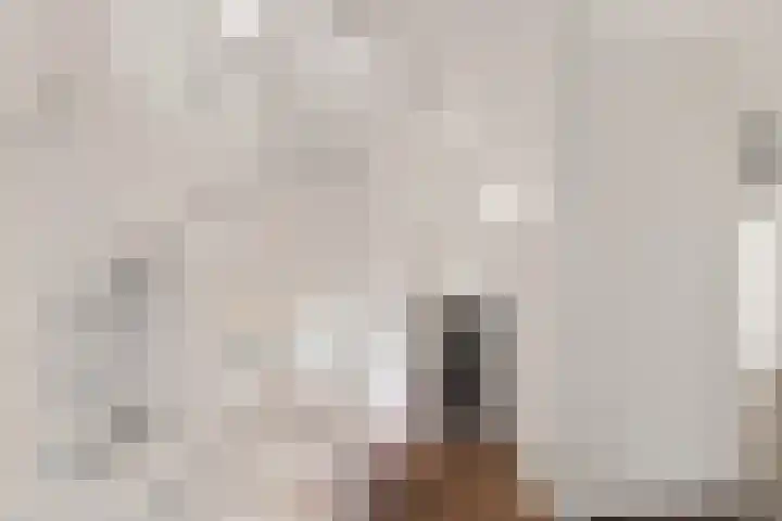 Dagpauwoog 4 Sneek thumbnail 17