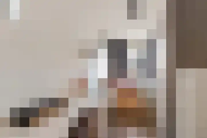 Dagpauwoog 4 Sneek thumbnail 18