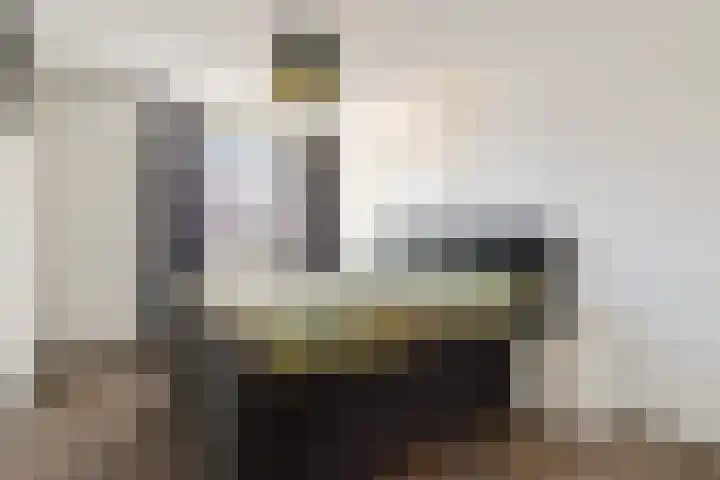 Dagpauwoog 4 Sneek thumbnail 21
