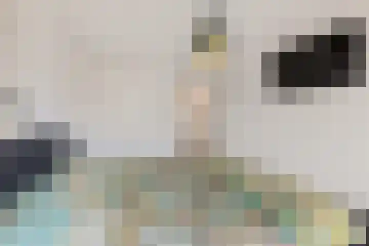 Dagpauwoog 4 Sneek thumbnail 22