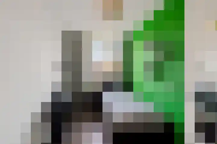 Dagpauwoog 4 Sneek thumbnail 23