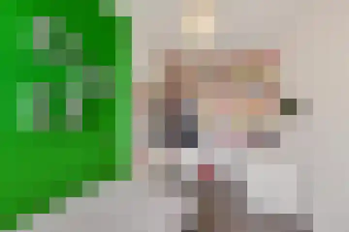 Dagpauwoog 4 Sneek thumbnail 24