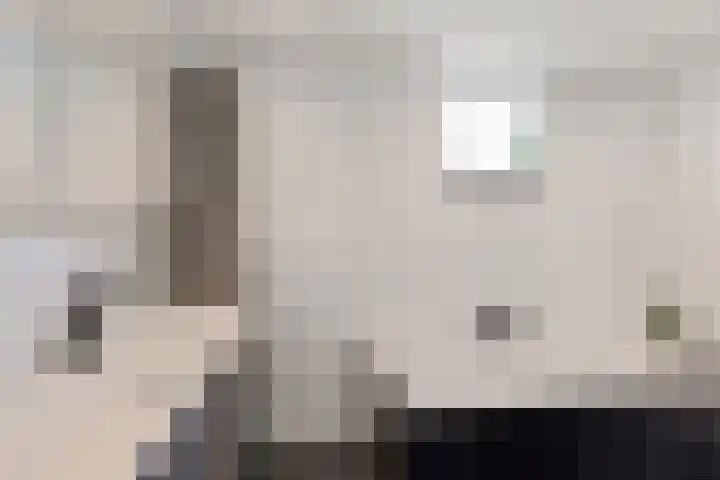 Dagpauwoog 4 Sneek thumbnail 25