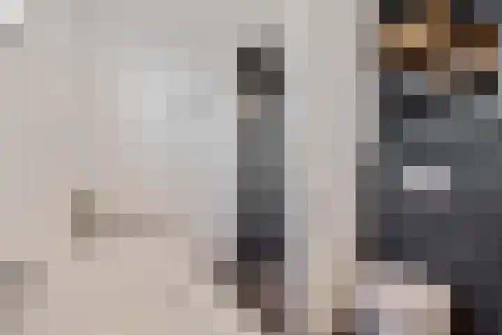 Dagpauwoog 4 Sneek thumbnail 26