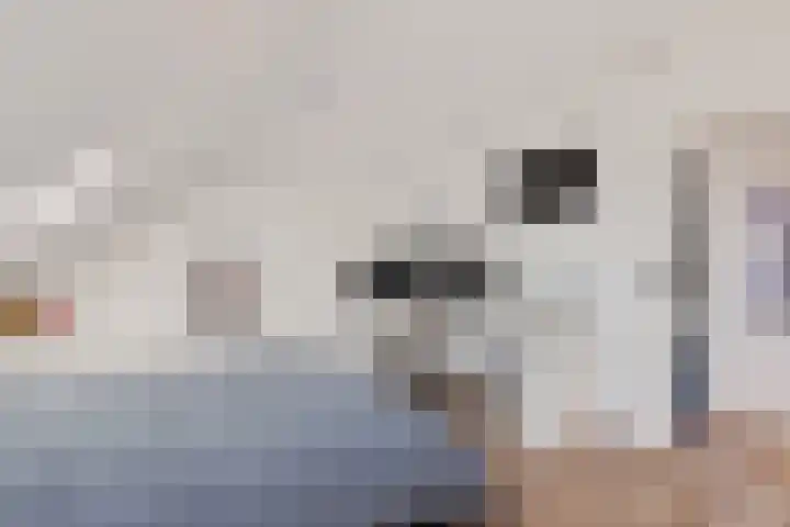 Dagpauwoog 4 Sneek thumbnail 29