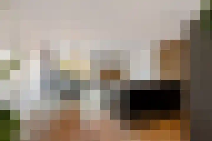 Dagpauwoog 4 Sneek foto 3