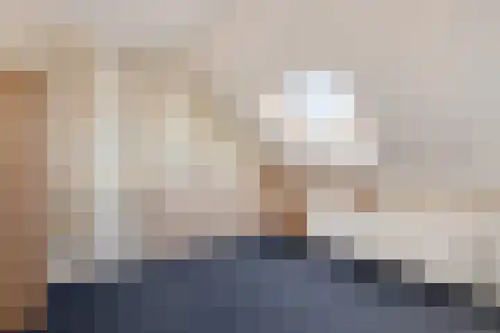 Dagpauwoog 4 Sneek thumbnail 31