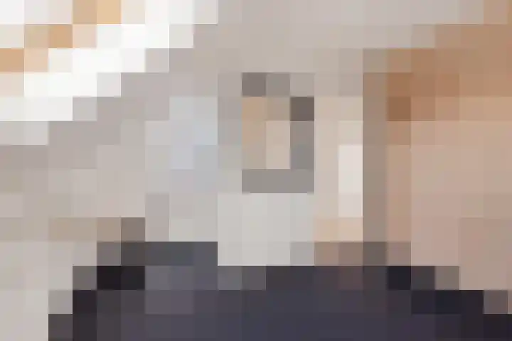Dagpauwoog 4 Sneek thumbnail 32