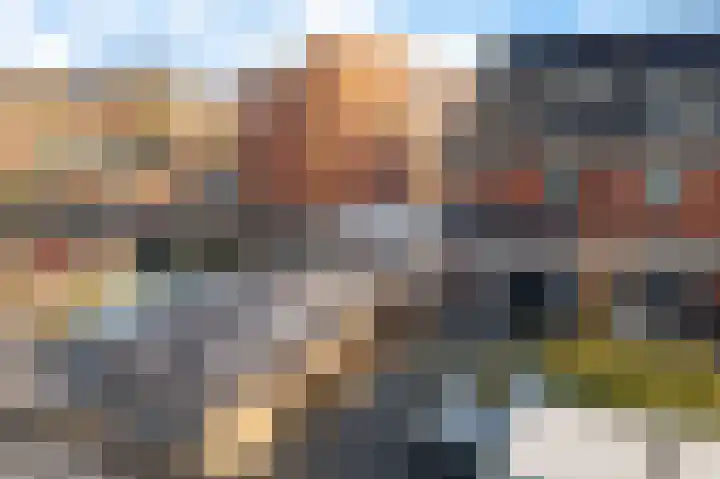 Dagpauwoog 4 Sneek thumbnail 34