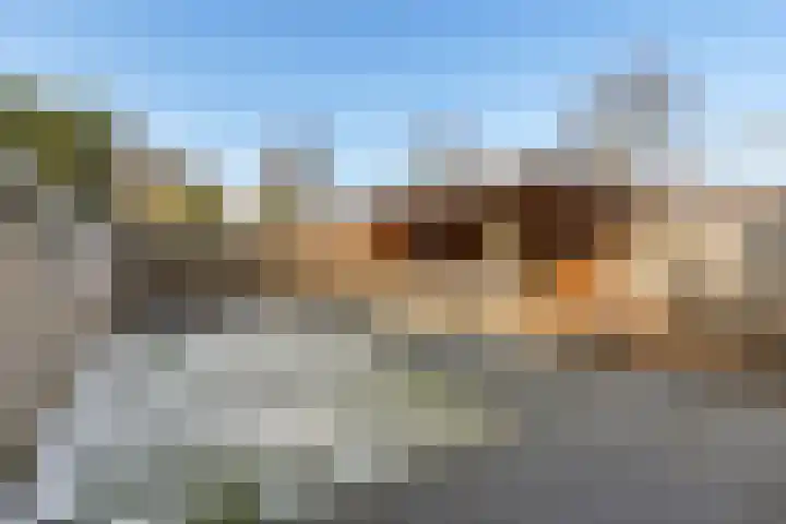Dagpauwoog 4 Sneek thumbnail 35
