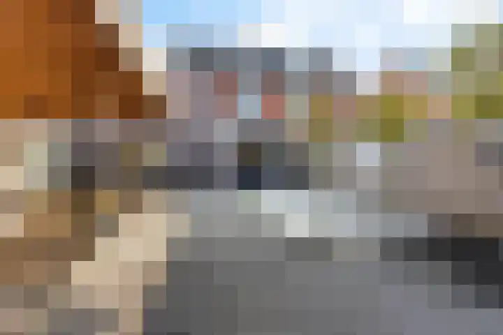 Dagpauwoog 4 Sneek thumbnail 37