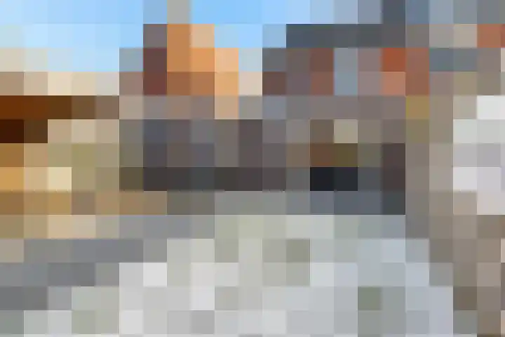 Dagpauwoog 4 Sneek thumbnail 39