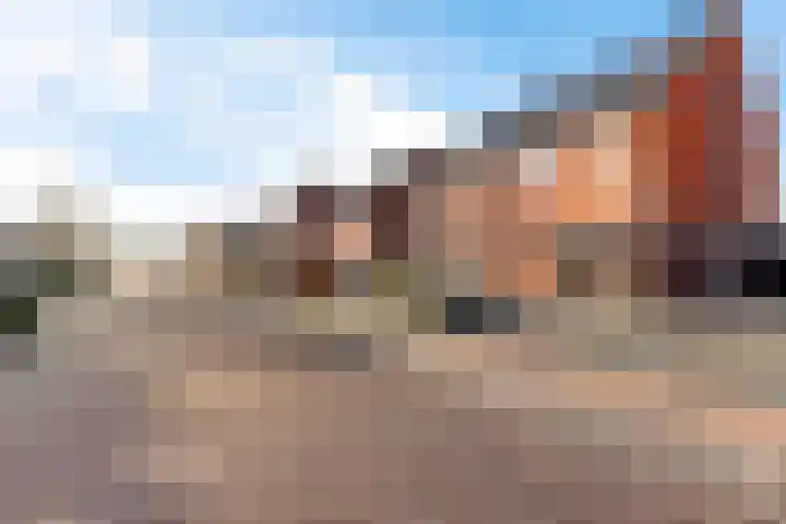 Dagpauwoog 4 Sneek thumbnail 40