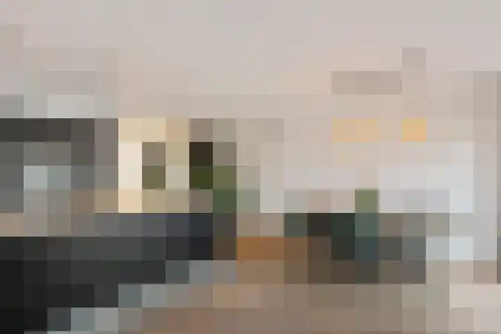 Dagpauwoog 4 Sneek thumbnail 7
