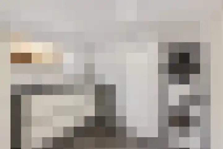 Dagpauwoog 4 Sneek thumbnail 9