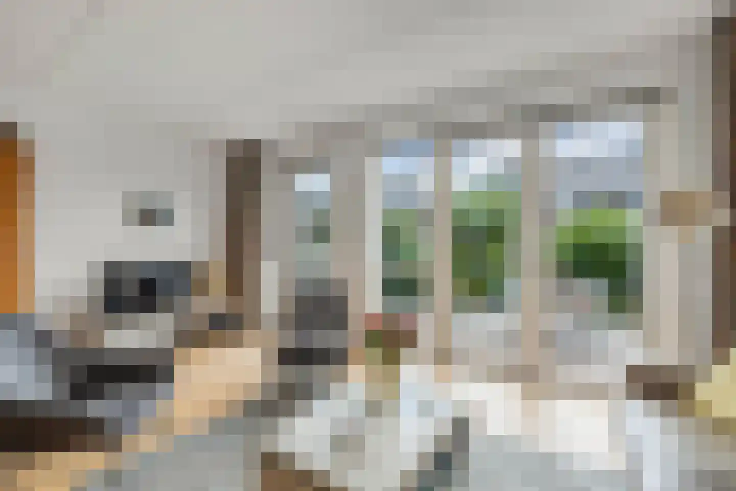Dagpauwoog 4 Wolvega thumbnail 12