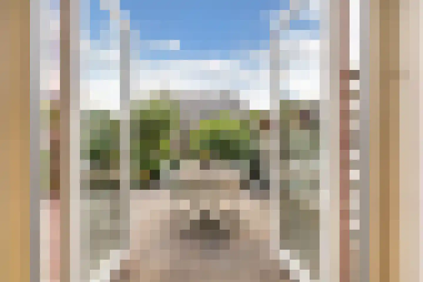 Dagpauwoog 4 Wolvega thumbnail 14