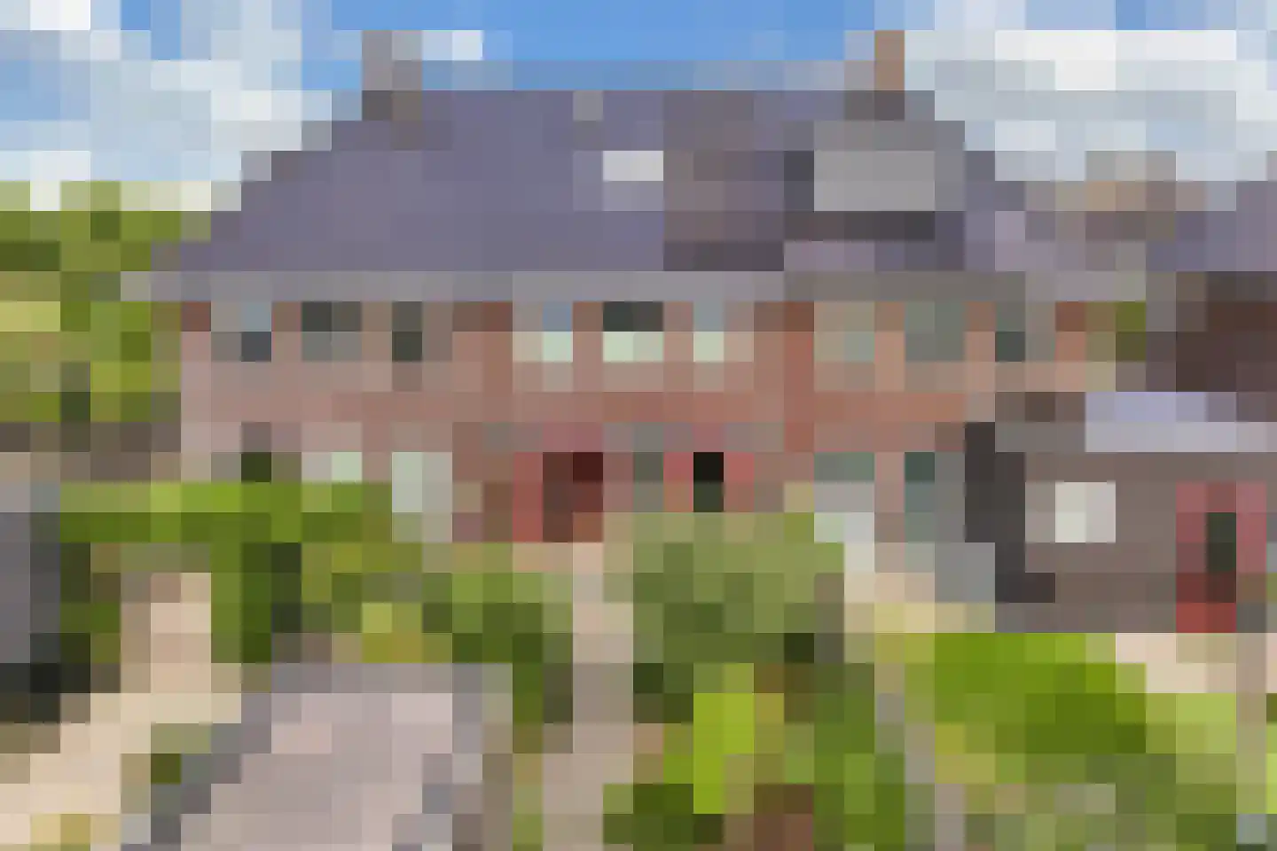 Dagpauwoog 4 Wolvega foto 2