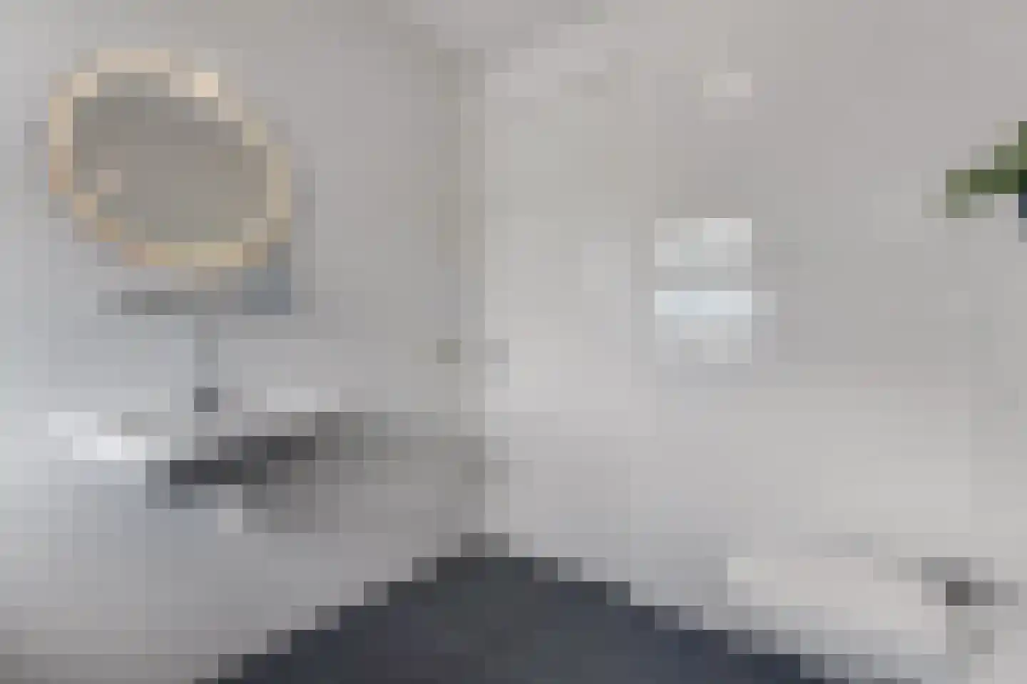 Dagpauwoog 4 Wolvega thumbnail 29
