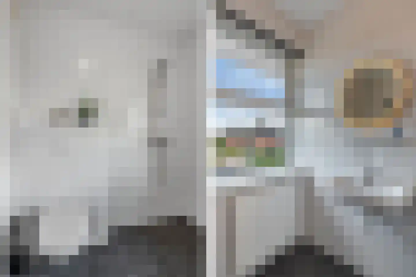 Dagpauwoog 4 Wolvega thumbnail 30