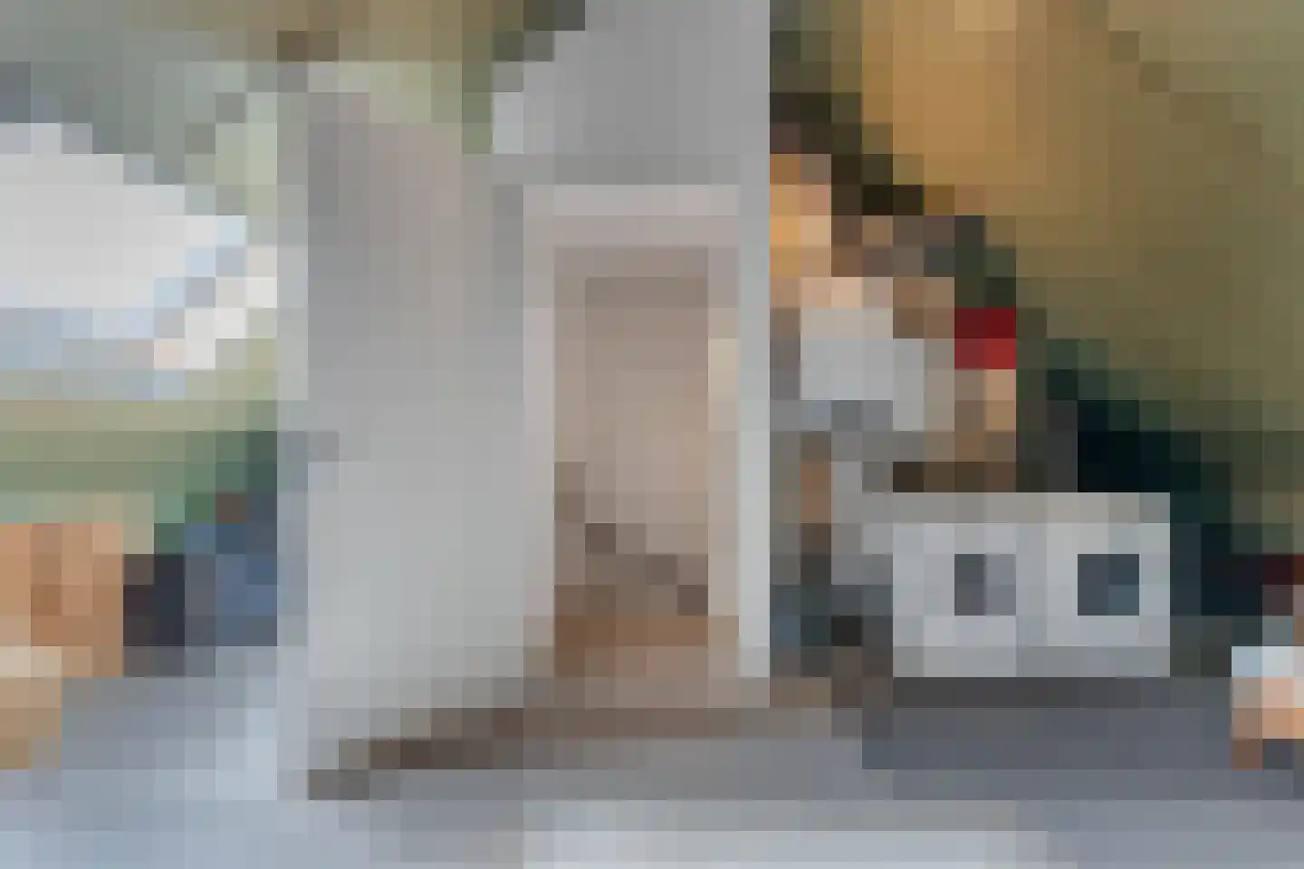 Dagpauwoog 4 Wolvega thumbnail 32