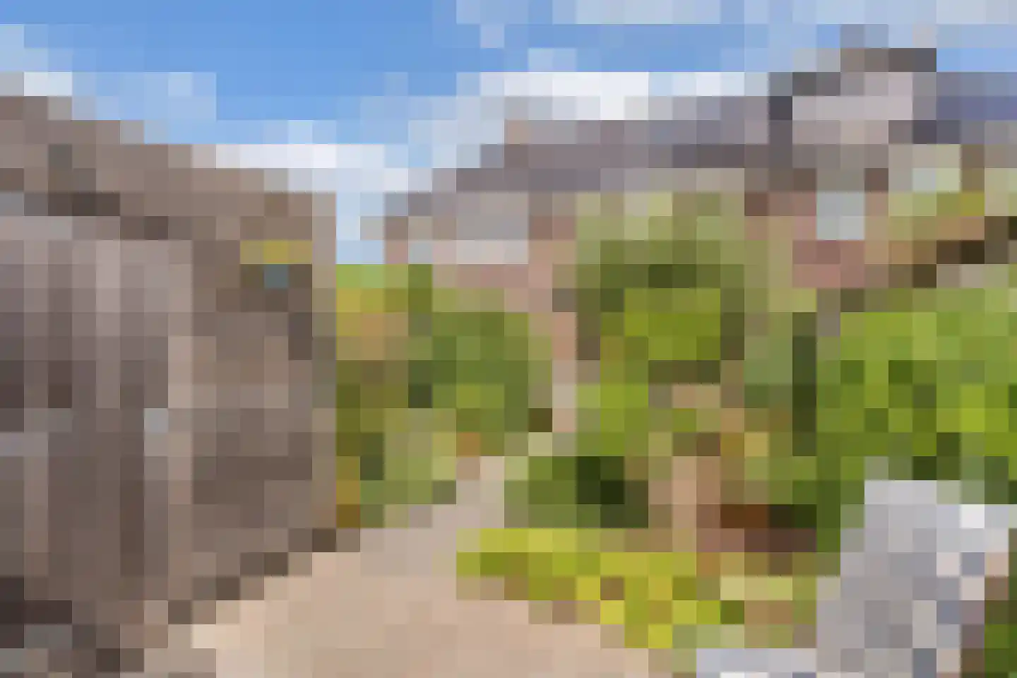 Dagpauwoog 4 Wolvega thumbnail 33