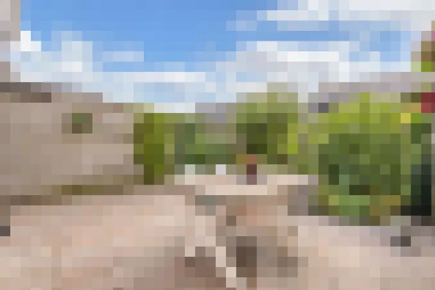 Dagpauwoog 4 Wolvega thumbnail 34