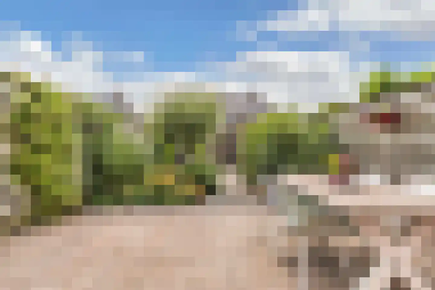 Dagpauwoog 4 Wolvega thumbnail 35