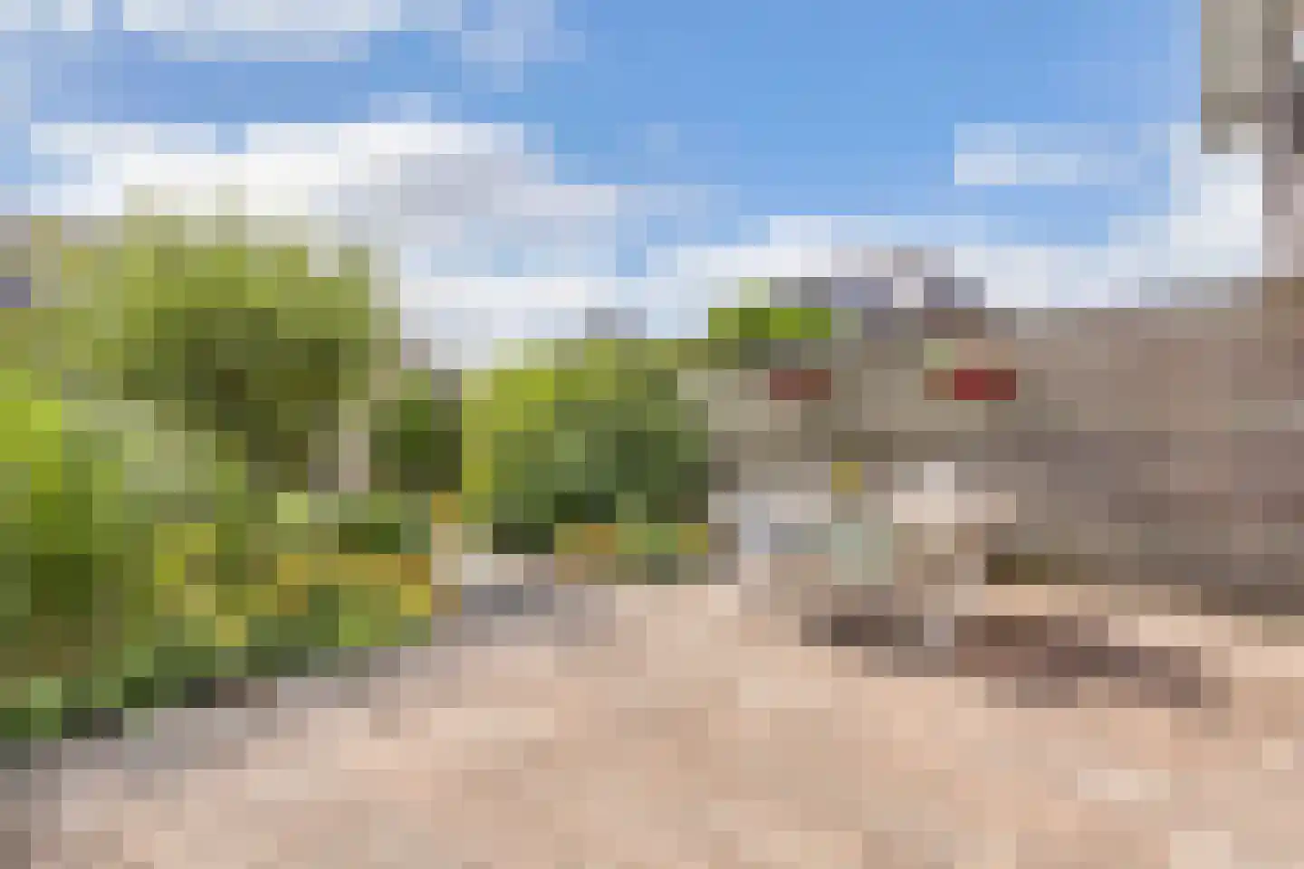 Dagpauwoog 4 Wolvega thumbnail 37