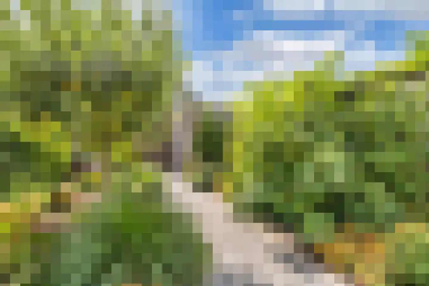 Dagpauwoog 4 Wolvega thumbnail 38