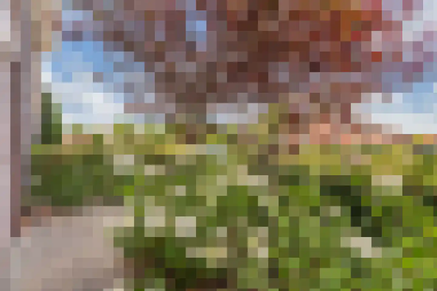 Dagpauwoog 4 Wolvega thumbnail 39