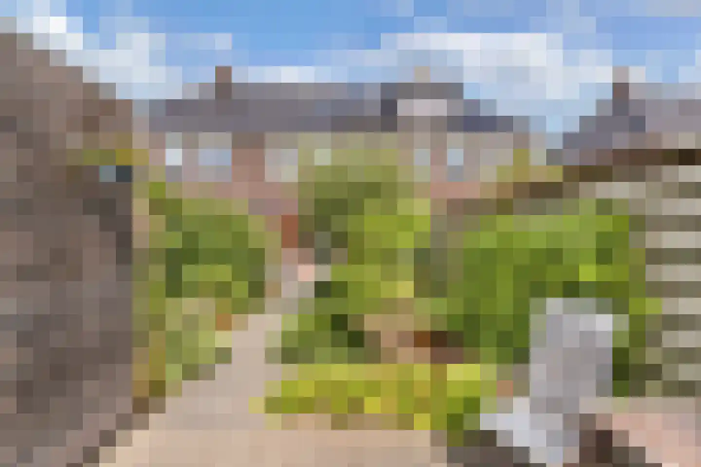 Dagpauwoog 4 Wolvega thumbnail 4