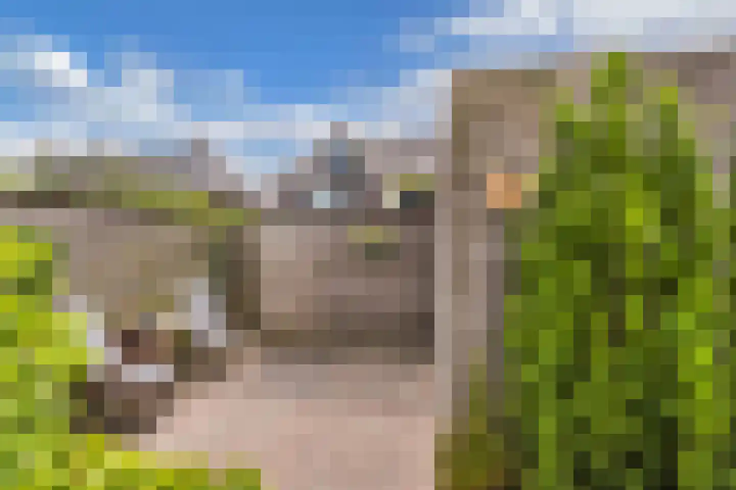 Dagpauwoog 4 Wolvega thumbnail 40