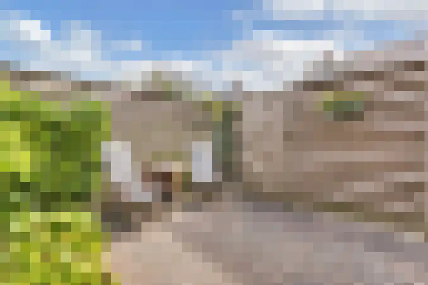 Dagpauwoog 4 Wolvega thumbnail 41