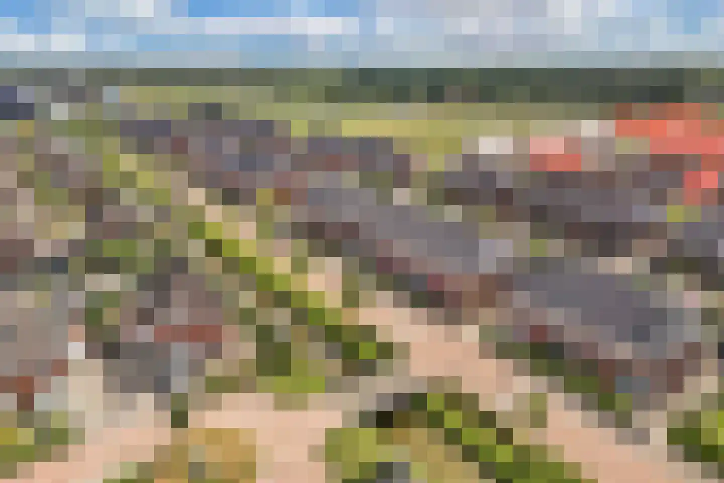 Dagpauwoog 4 Wolvega thumbnail 45