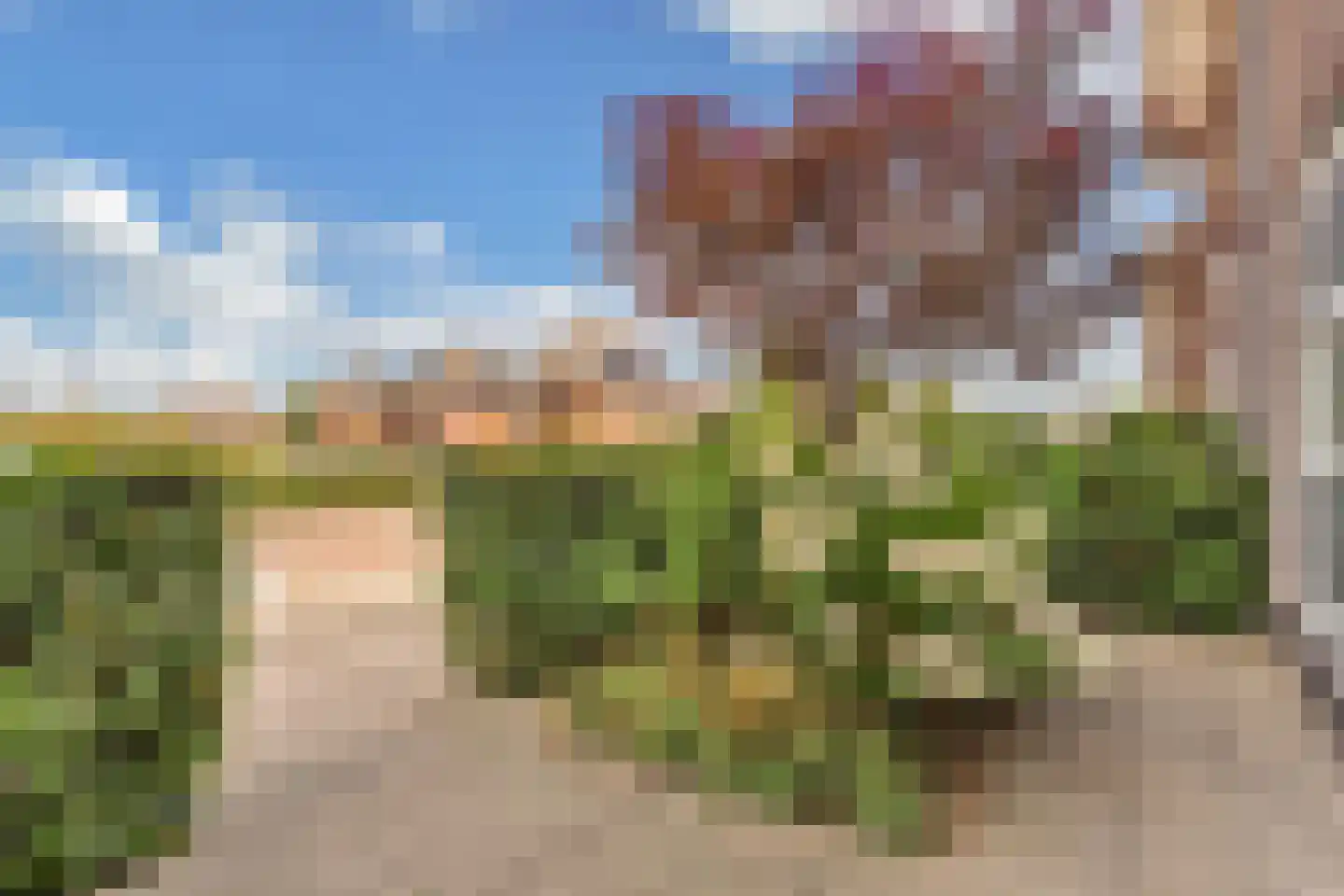 Dagpauwoog 4 Wolvega thumbnail 47