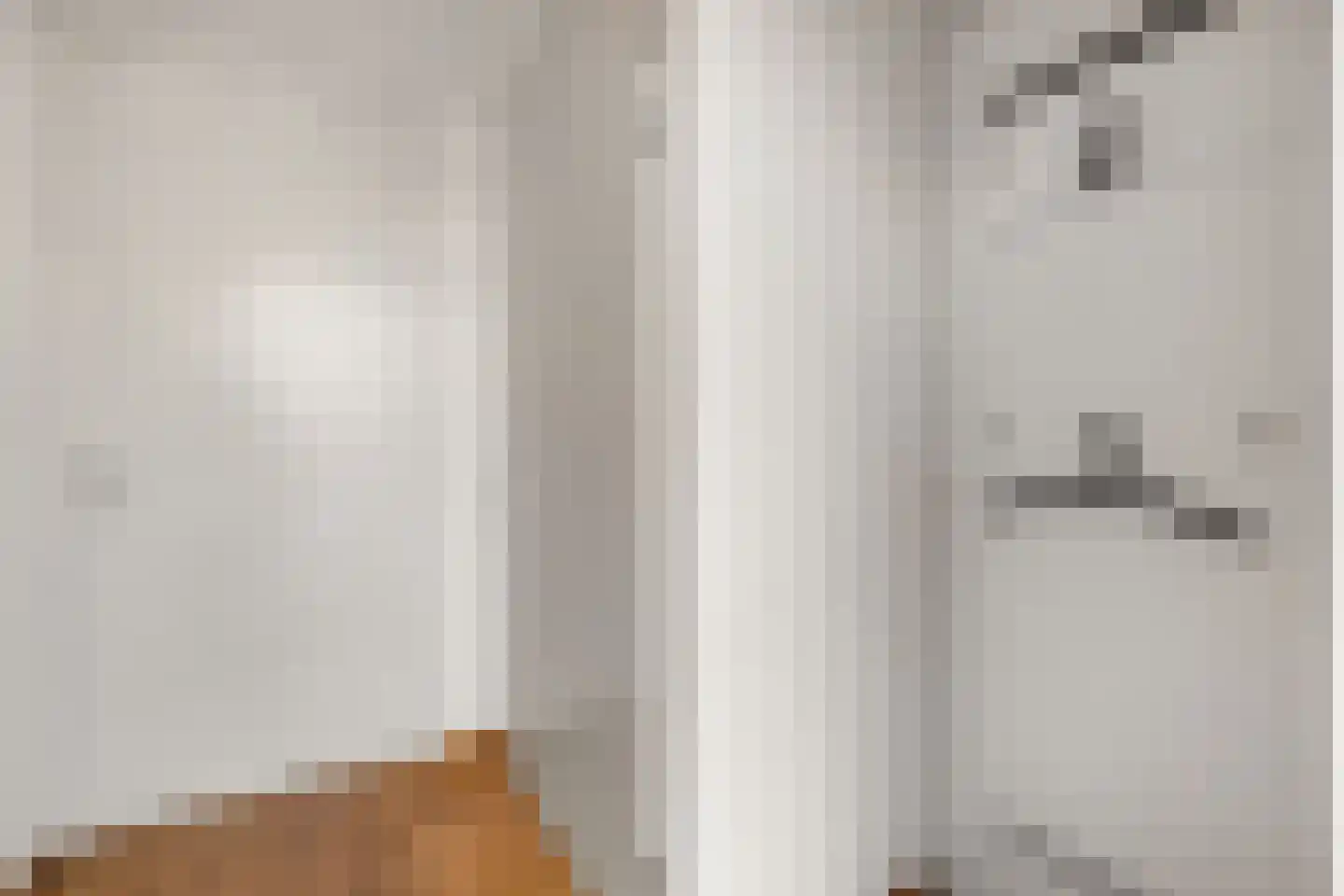 Dagpauwoog 4 Wolvega thumbnail 5