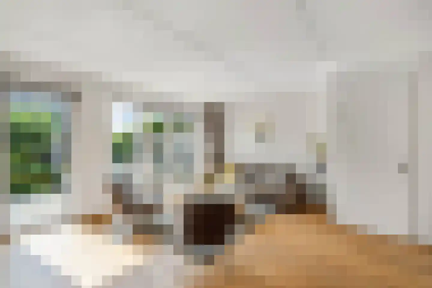 Dagpauwoog 4 Wolvega thumbnail 8
