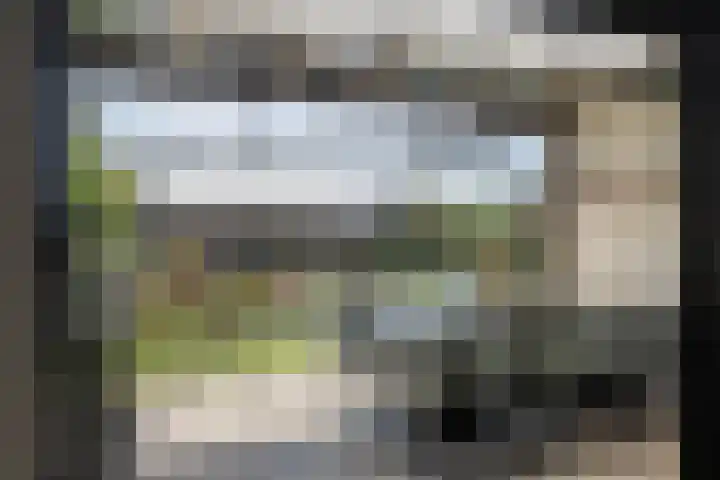 Dagpauwoog 42 's-Gravenzande thumbnail 14