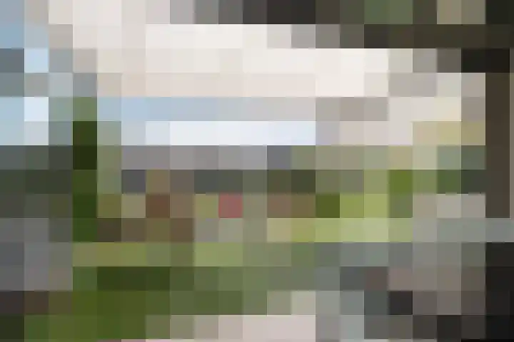 Dagpauwoog 42 's-Gravenzande thumbnail 15
