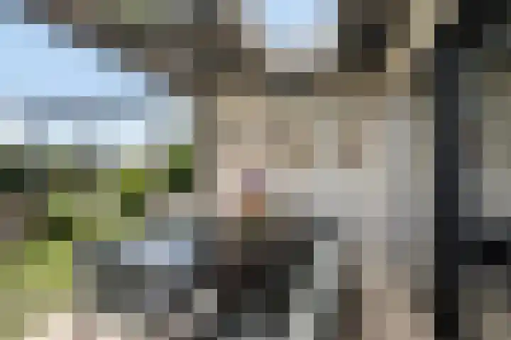 Dagpauwoog 42 's-Gravenzande thumbnail 16