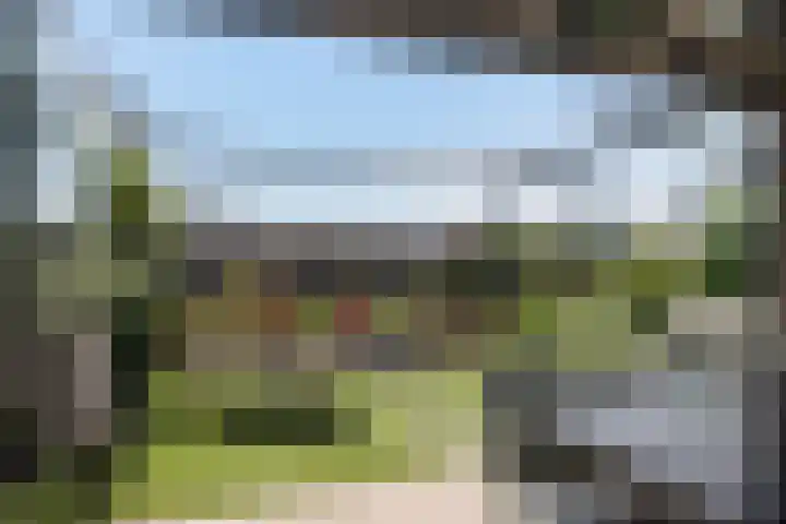 Dagpauwoog 42 's-Gravenzande thumbnail 18